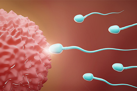 Harley Street Fertility Centre-Treatments